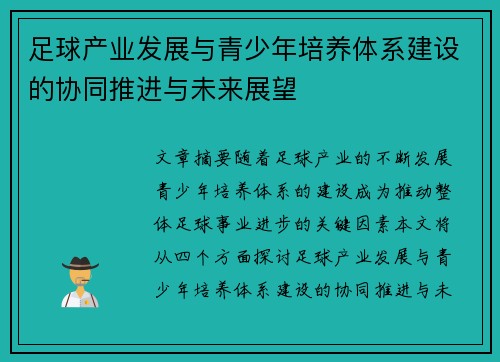 足球产业发展与青少年培养体系建设的协同推进与未来展望